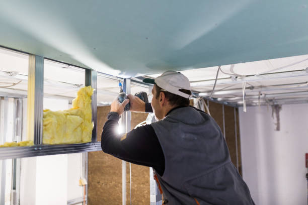 Professional Insulation Contractor in Naval Academy, MD