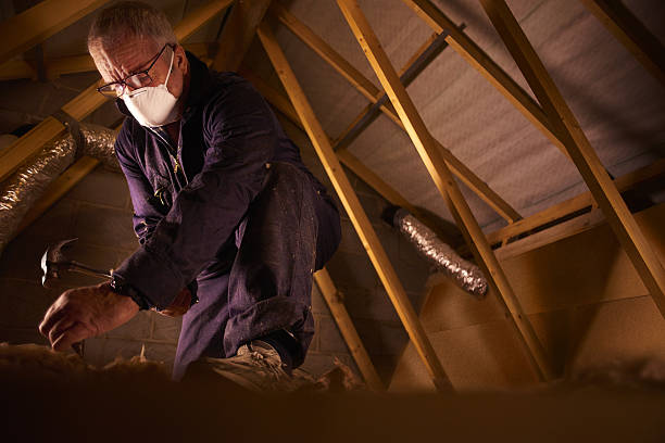 Best Affordable Insulation Services  in Naval Academy, MD